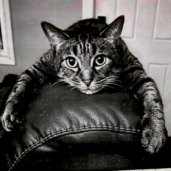 Art Titled: LazyJas by Lunix Lunara - Picture 4 of 4